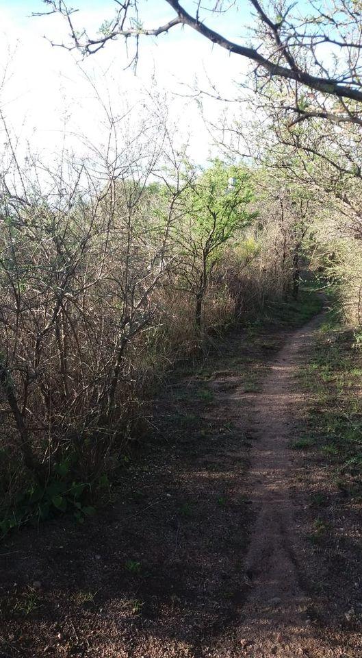 Hectárea en Charbonier, Monte Nativo, Sierras de Córdoba. Dueño Directo. Escritu 3