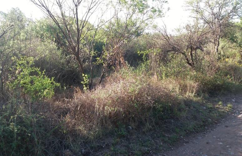 Hectárea en Charbonier, Monte Nativo, Sierras de Córdoba. Dueño Directo. Escritu 1