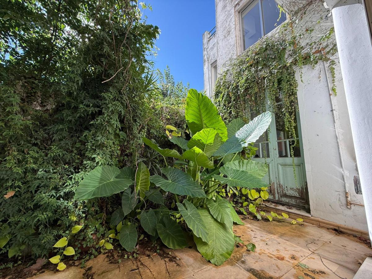 Exclusivo PH con Gran Superficie, Luz y Encanto en El Corazón de Colegiales 1