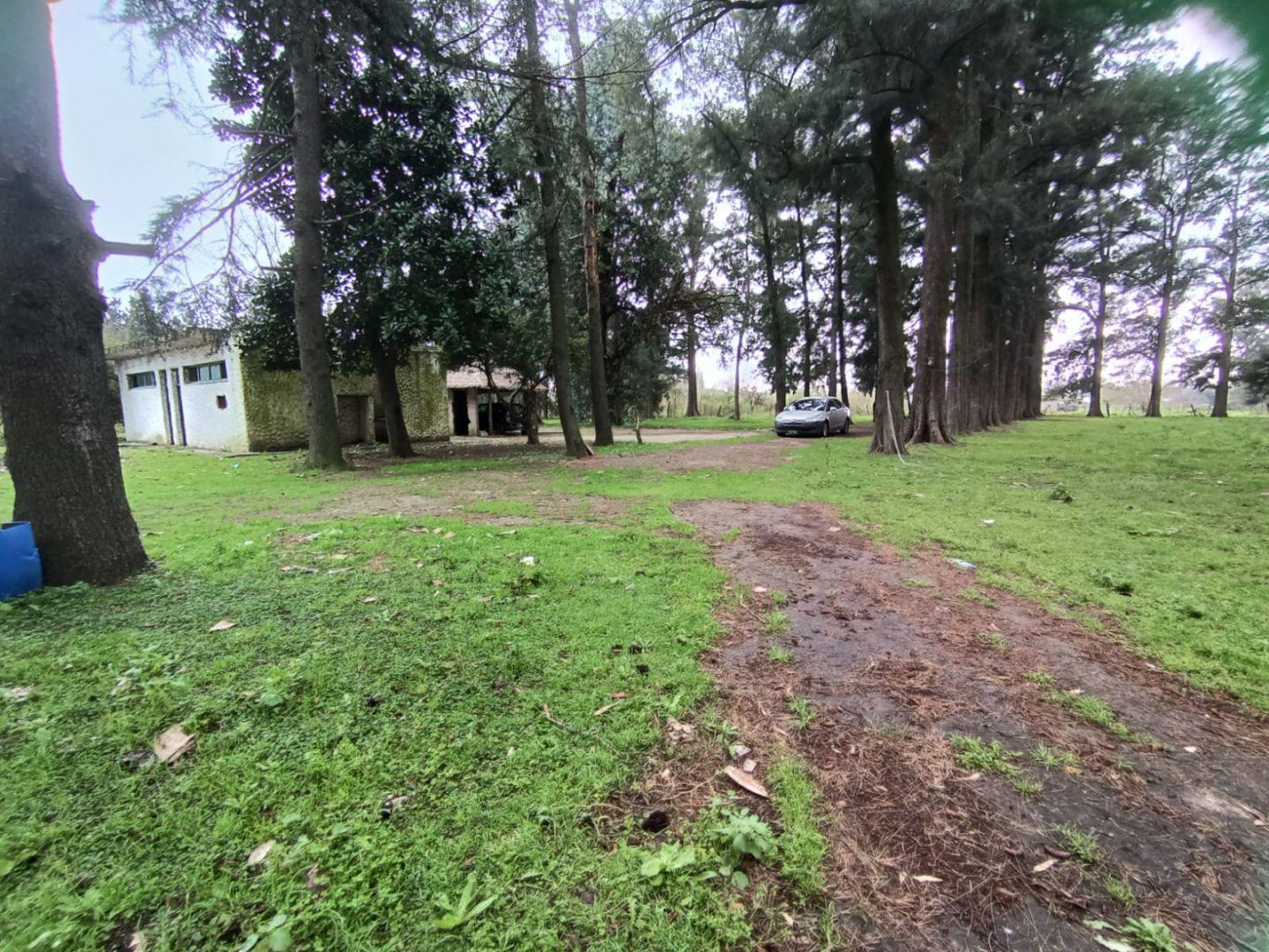Foto de Lote . | MAR DEL PLATA al S00, imagen 5