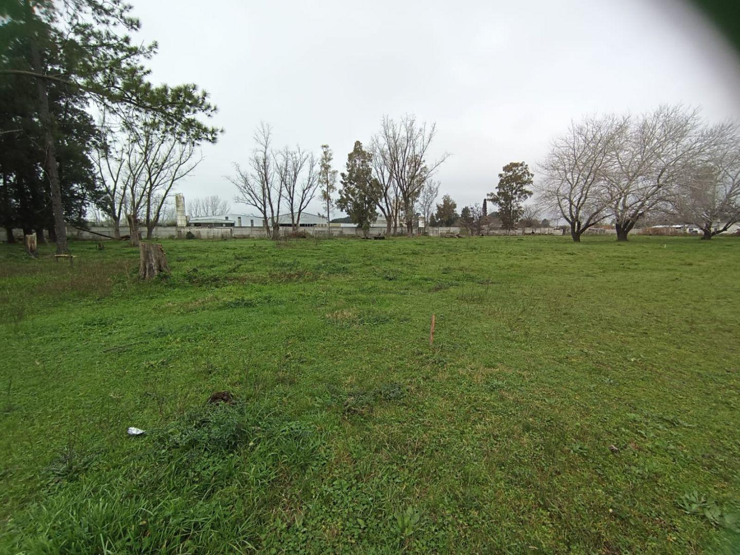 Foto de Lote . | MAR DEL PLATA al S00, imagen 1
