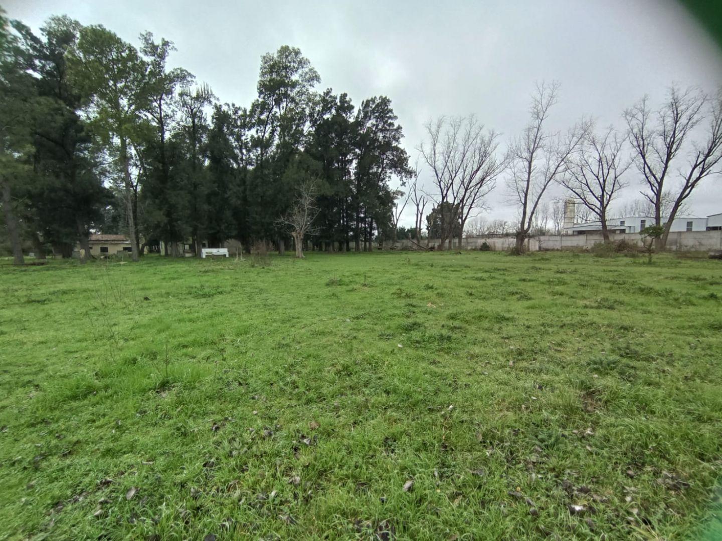 Foto de Lote . | MAR DEL PLATA al S00, imagen 4