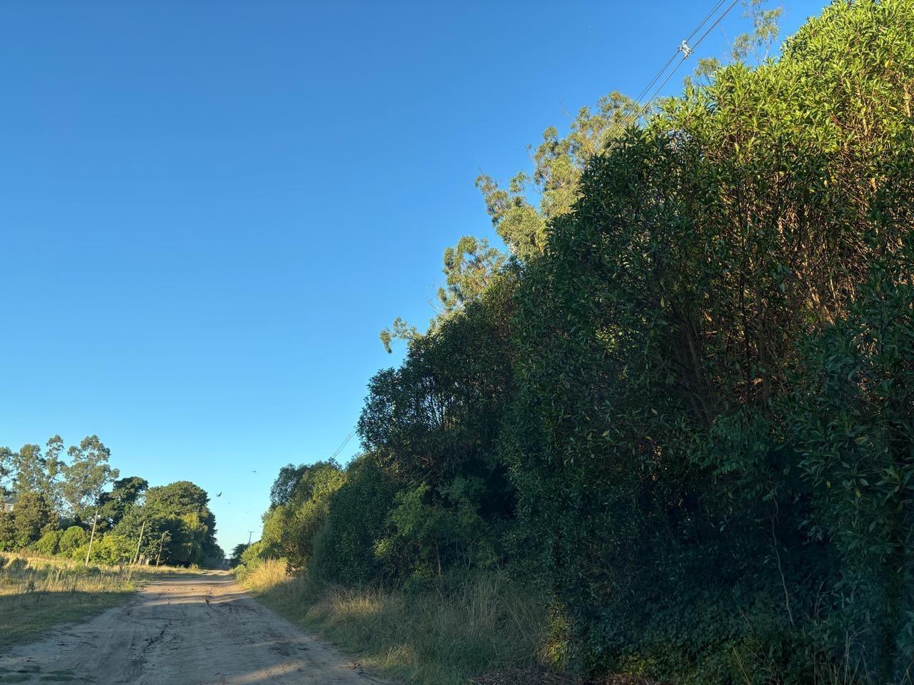 Foto de VENTA DE LOTES o EN BLOCK - SIERRA DE LOS PADRES, imagen 3