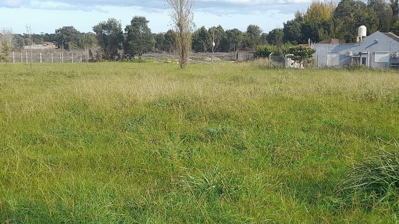 Foto de VENTA DE LOTE IRREGULAR DE 1247 M2. EN BARRIO SANTA CELINA, imagen 2