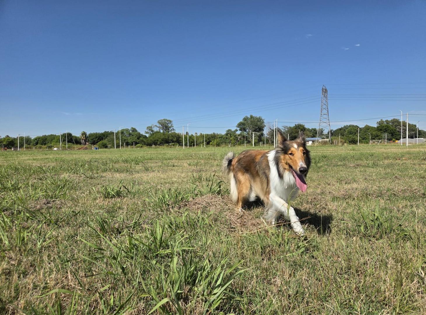 Foto de Terreno lote en campo madero, Ibarlucea, en venta, imagen 2