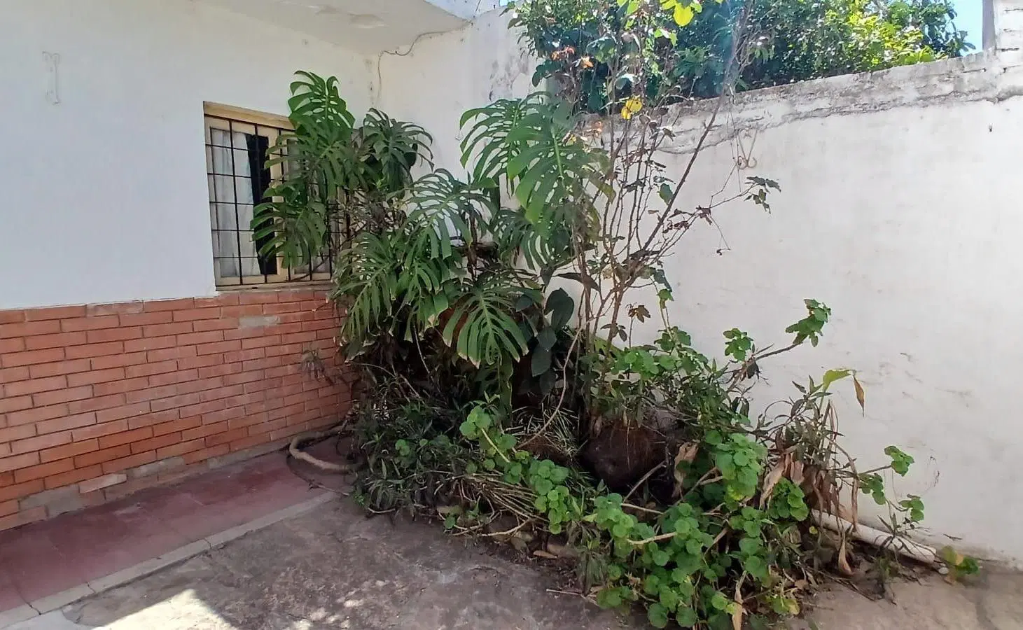 DEPARTAMENTO A RECICLAR EN ALTO ALBERDI 2