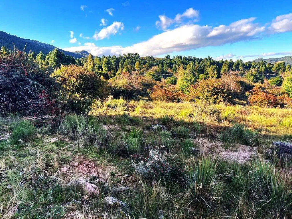 Terrenos Lotes en Venta La Cumbrecita, Calamuchita Córdoba 4