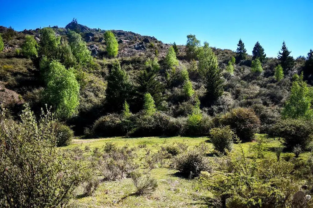 Terrenos Lotes en Venta La Cumbrecita, Calamuchita Córdoba 3