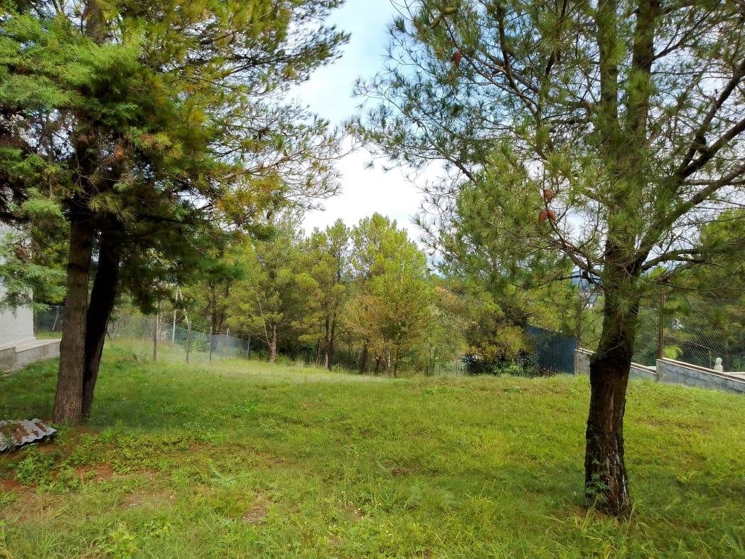 Lote Villa Giardino 690 m² 4