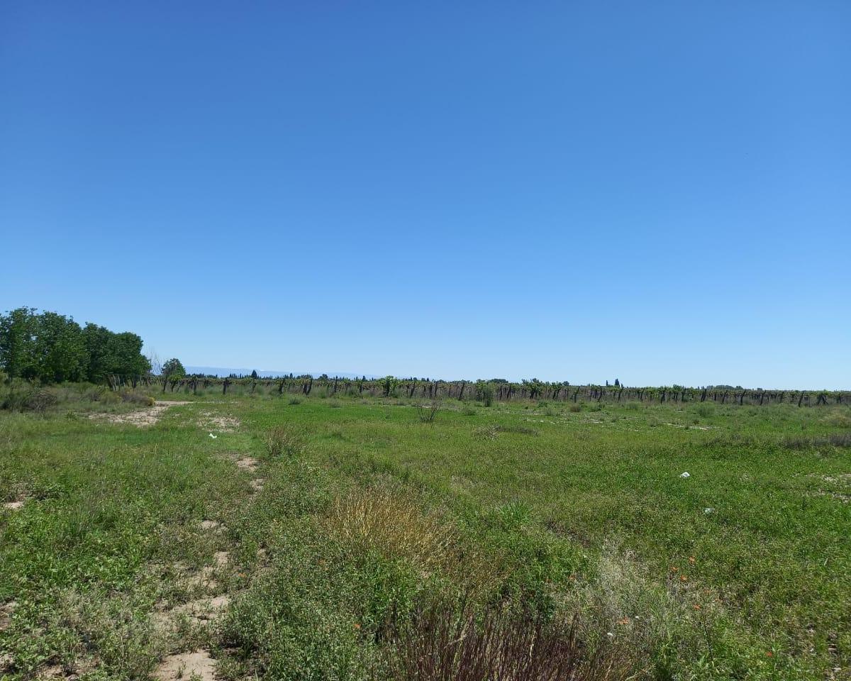 Finca Alto Verde con Pozo 4