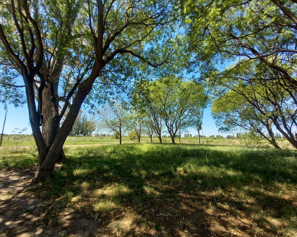 Finca Alto Verde con Pozo 5