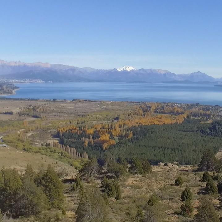 Quinta de 3 Ha en Ñirihuau con Vista, Servicios y Potencial Loteo 3