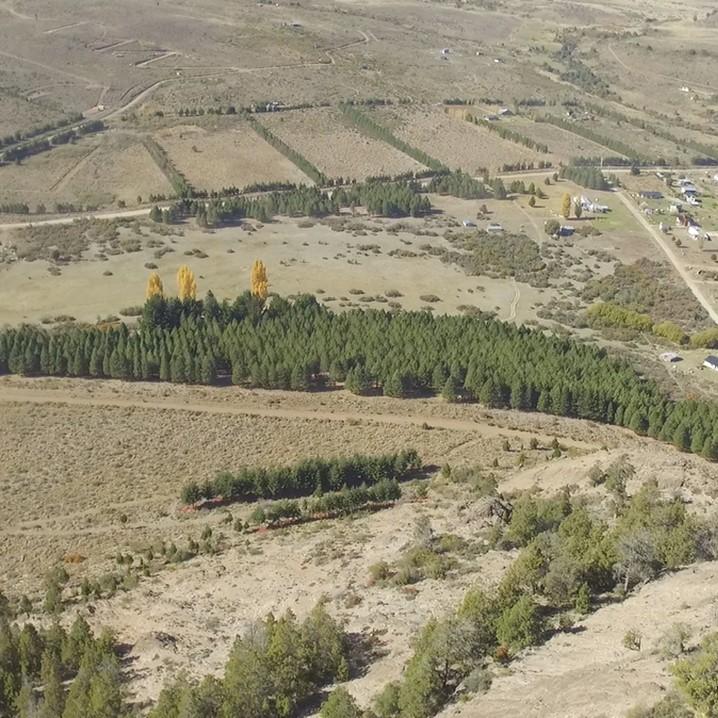 Quinta de 3 Ha en Ñirihuau con Vista, Servicios y Potencial Loteo 2