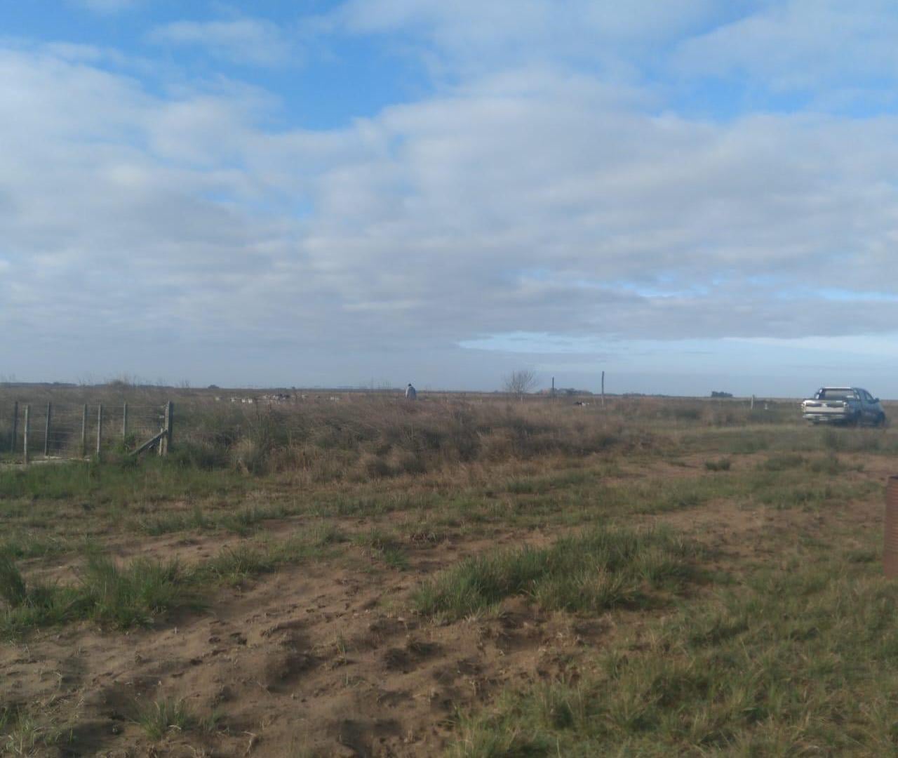 Foto de PARAJE PAVON LOTE 3837m2, Precio a conversar, imagen 5