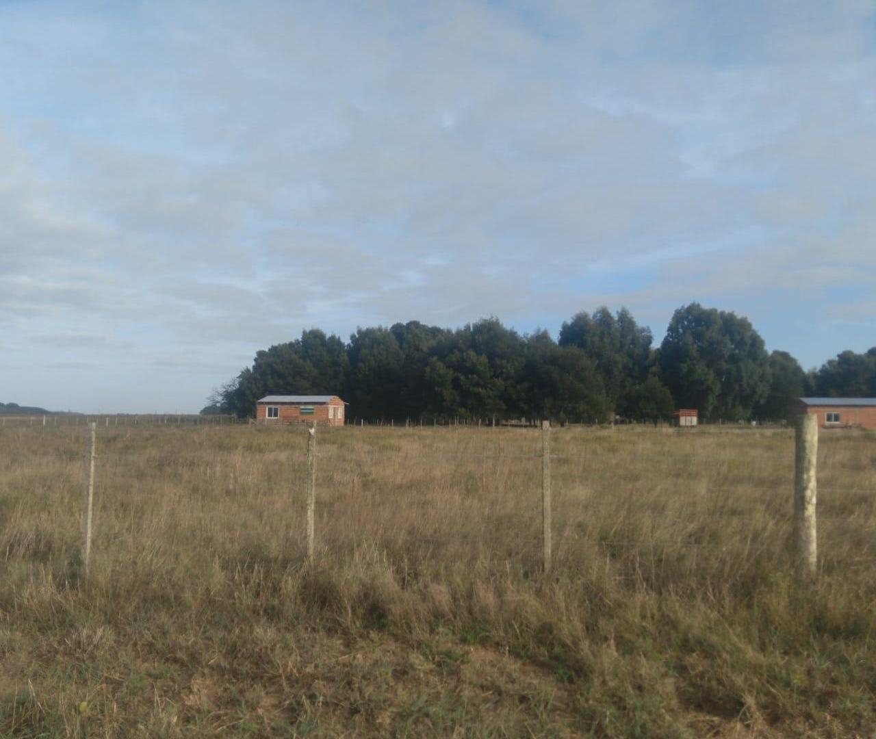 Foto de PARAJE PAVON LOTE 3837m2, Precio a conversar, imagen 3