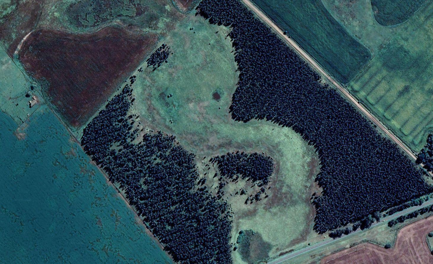 Foto de Campo en Ruta 88 km 62, imagen 2