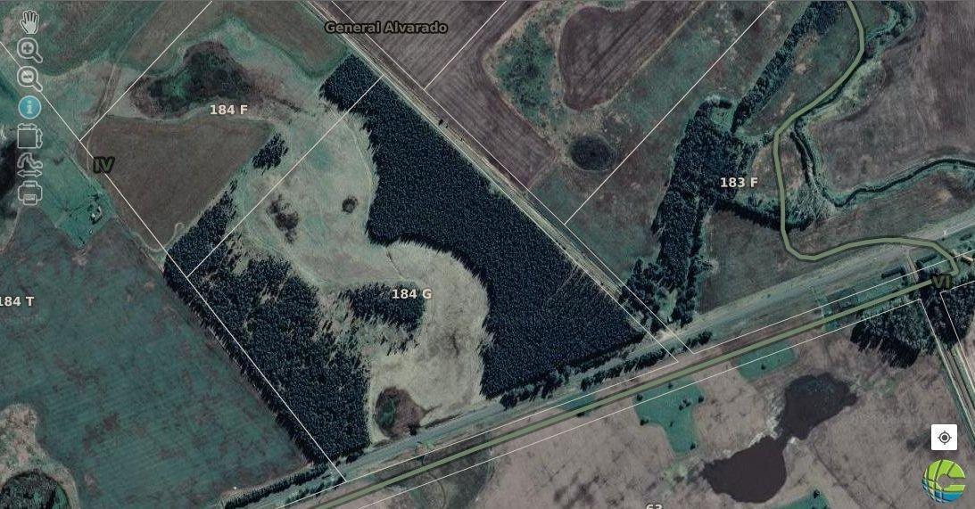 Foto de Campo en Ruta 88 km 62, imagen 3