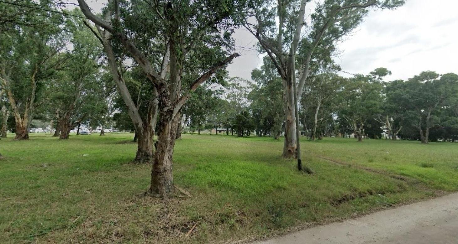 Foto de Campo - Santa Celina, imagen 5