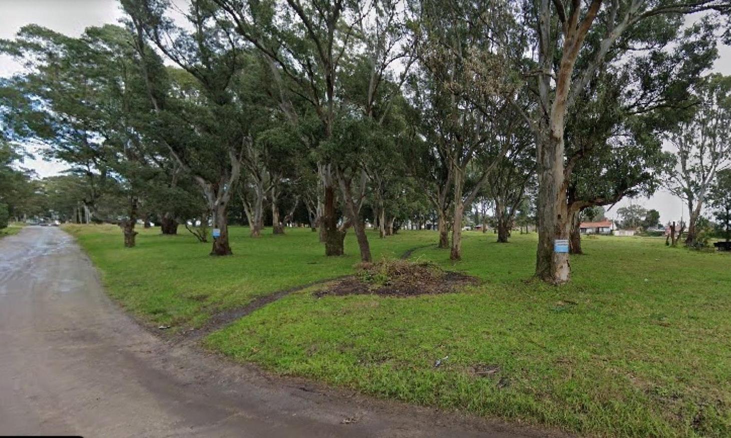Foto de Campo - Santa Celina, imagen 4