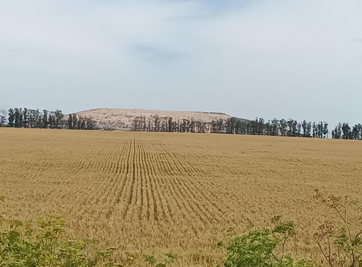 Foto de Campo de 49 has en venta en Camino Viejo A Miramar, imagen 1