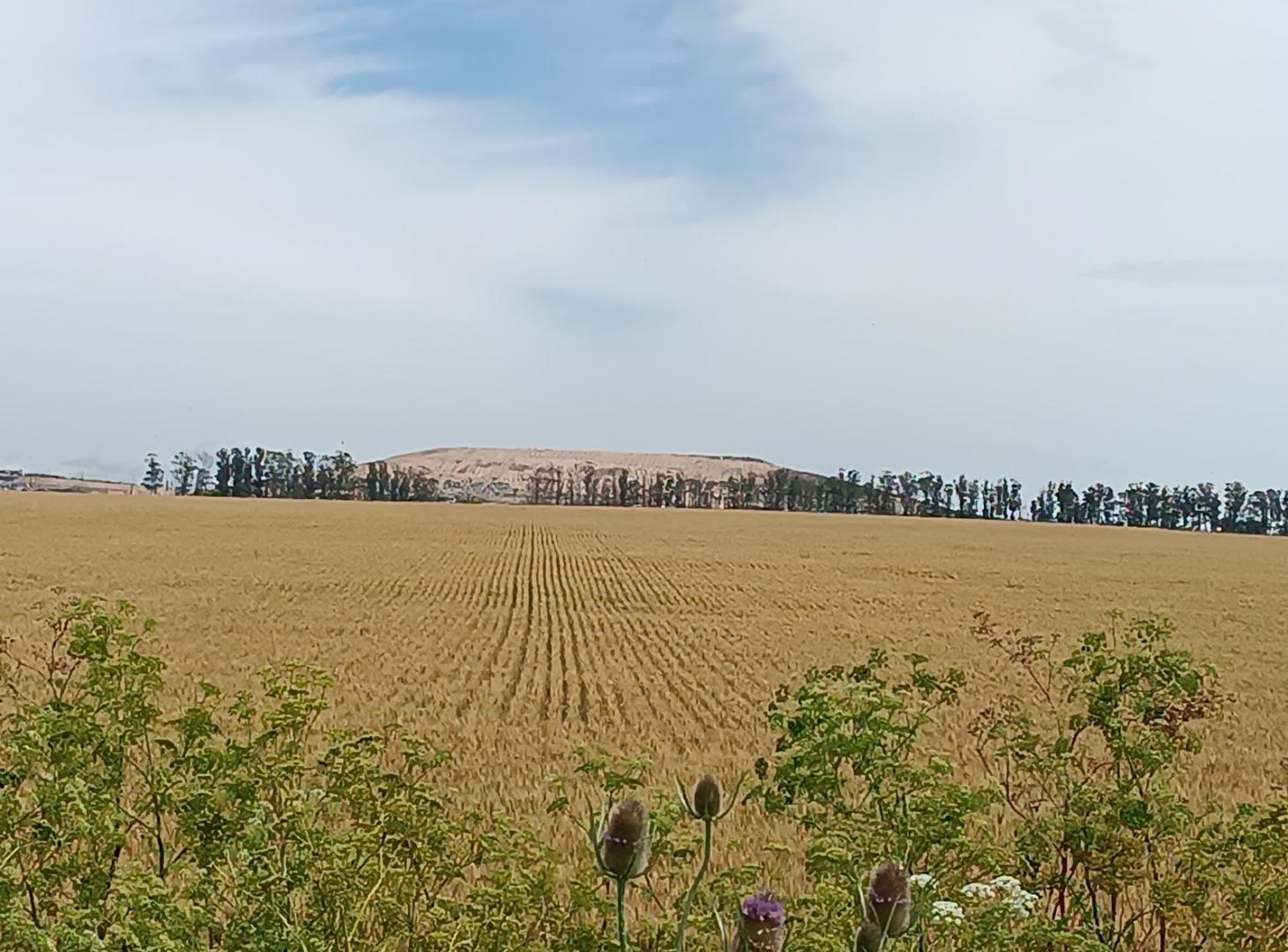 Foto de Campo de 49 has en venta en Camino Viejo A Miramar, imagen 2