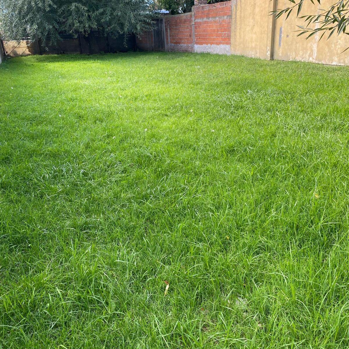 Vendo Lote de 331 m Cuadrados. 10 m Frente X 31 m de Fondo. 5