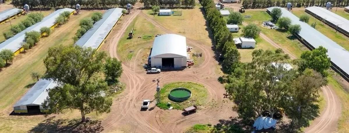 Foto de Campo en Pedernales establecimiento Avicola Habilitado, imagen 5