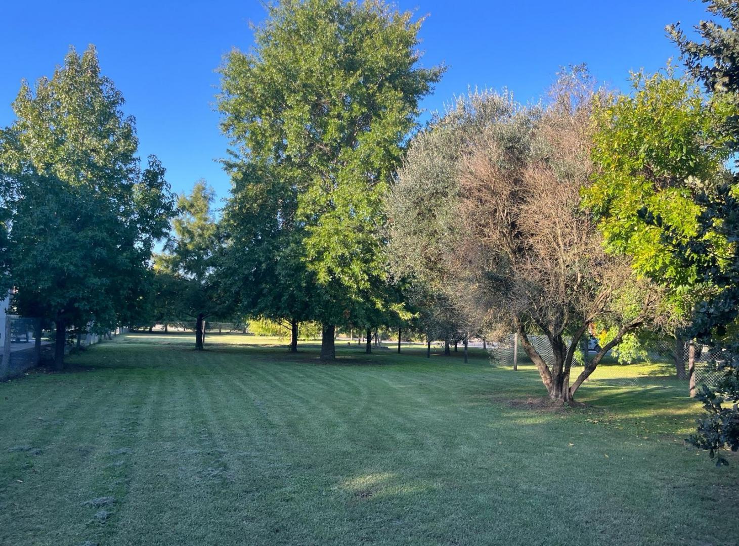 Foto de Lote en venta Barrio Villalba, imagen 5