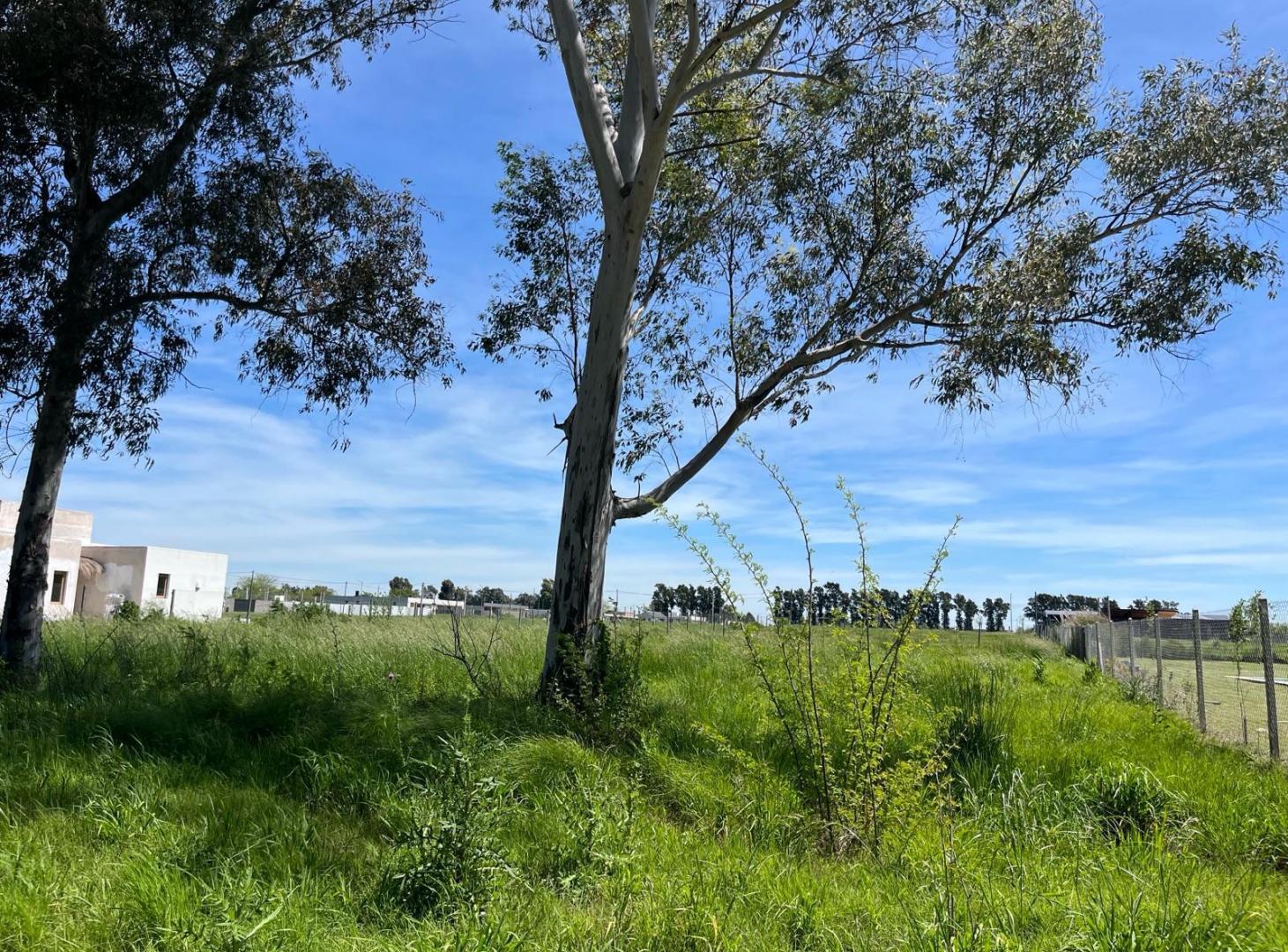 Foto de Terreno en venta La Cañada, imagen 5