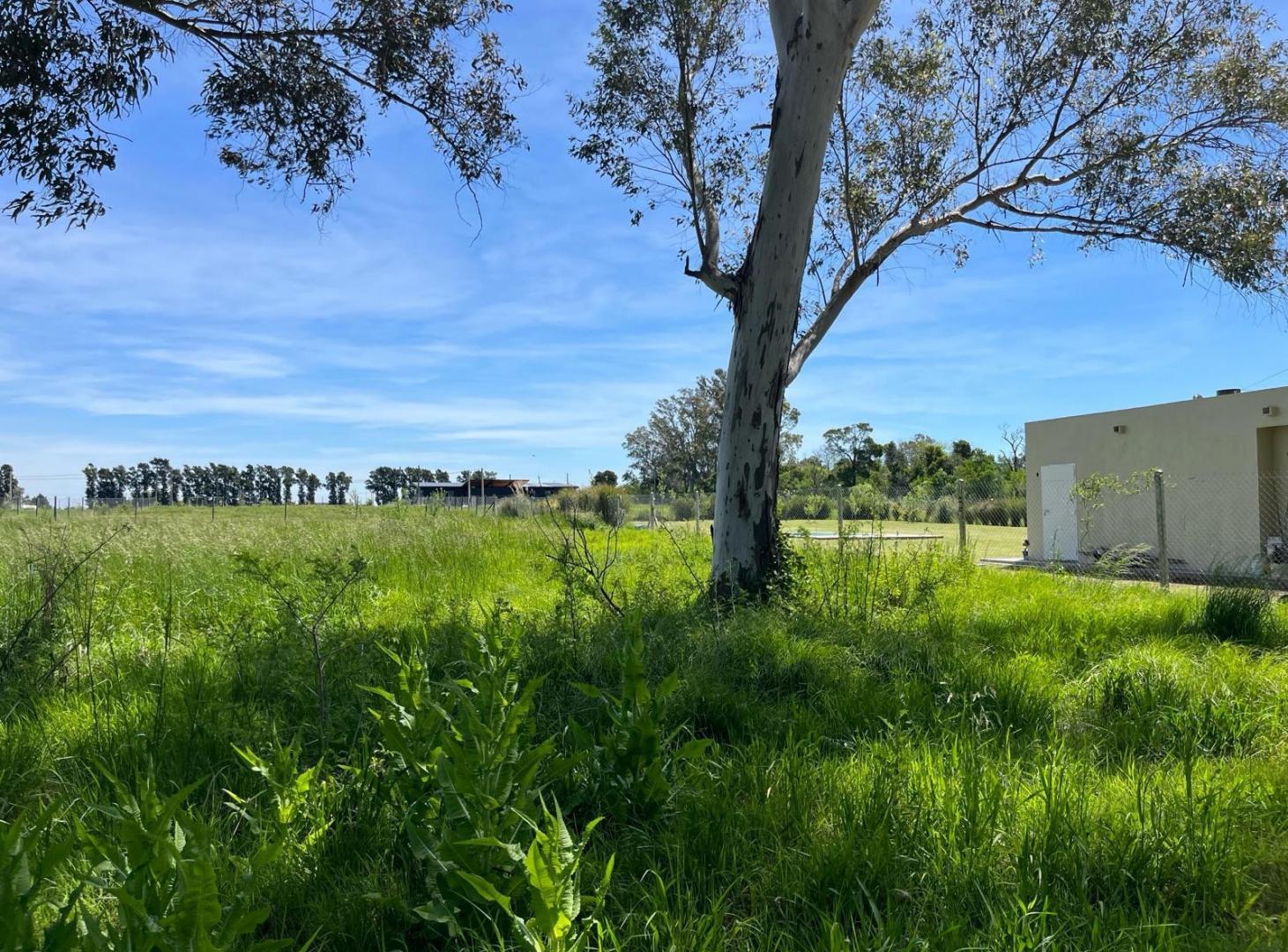 Foto de Terreno en venta La Cañada, imagen 4