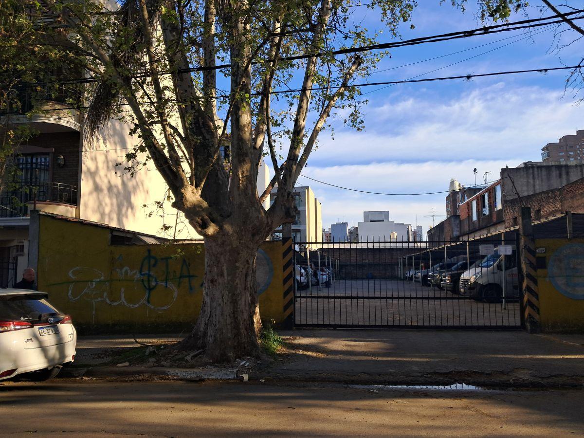 Foto de CHACABUCO 300- VENTA 2 LOTES RAMOS MEJIA, imagen 5