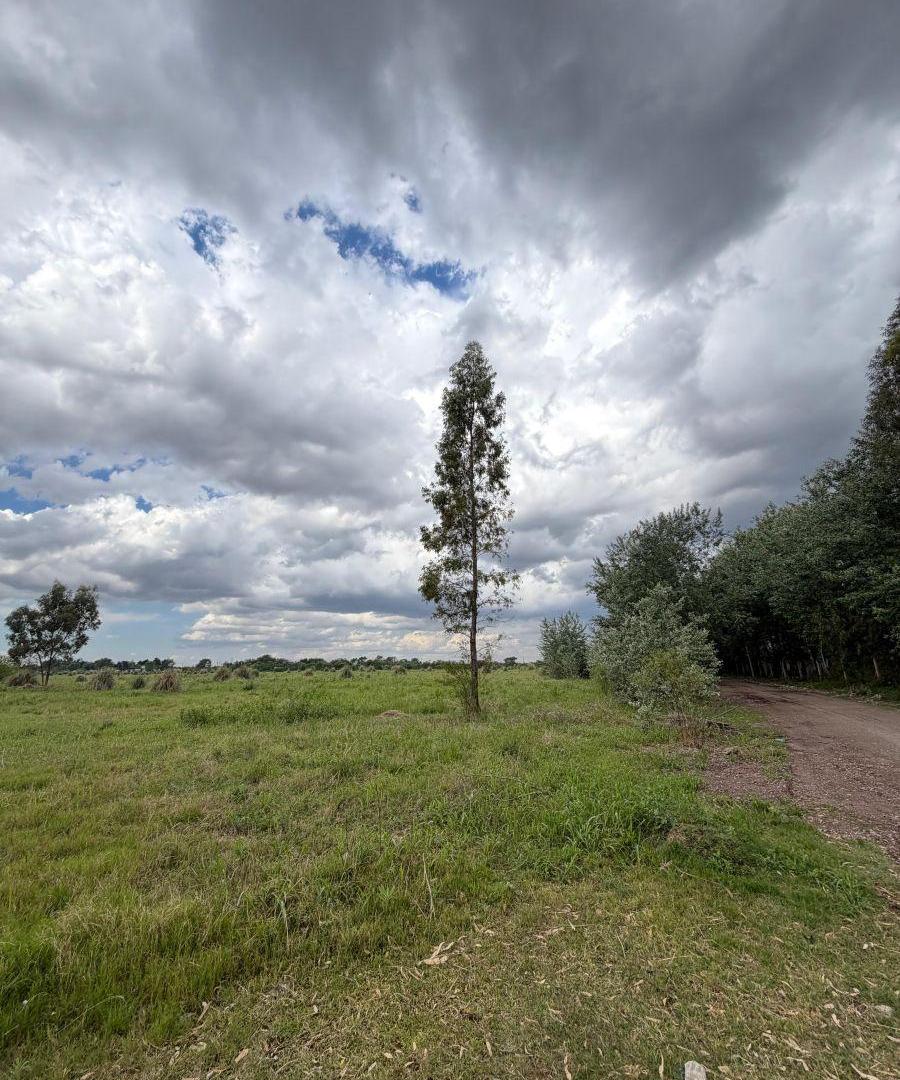 Foto de Gran Terreno en Venta Zona Norte | Sobre Ruta E53 | 20.800 M2, imagen 3