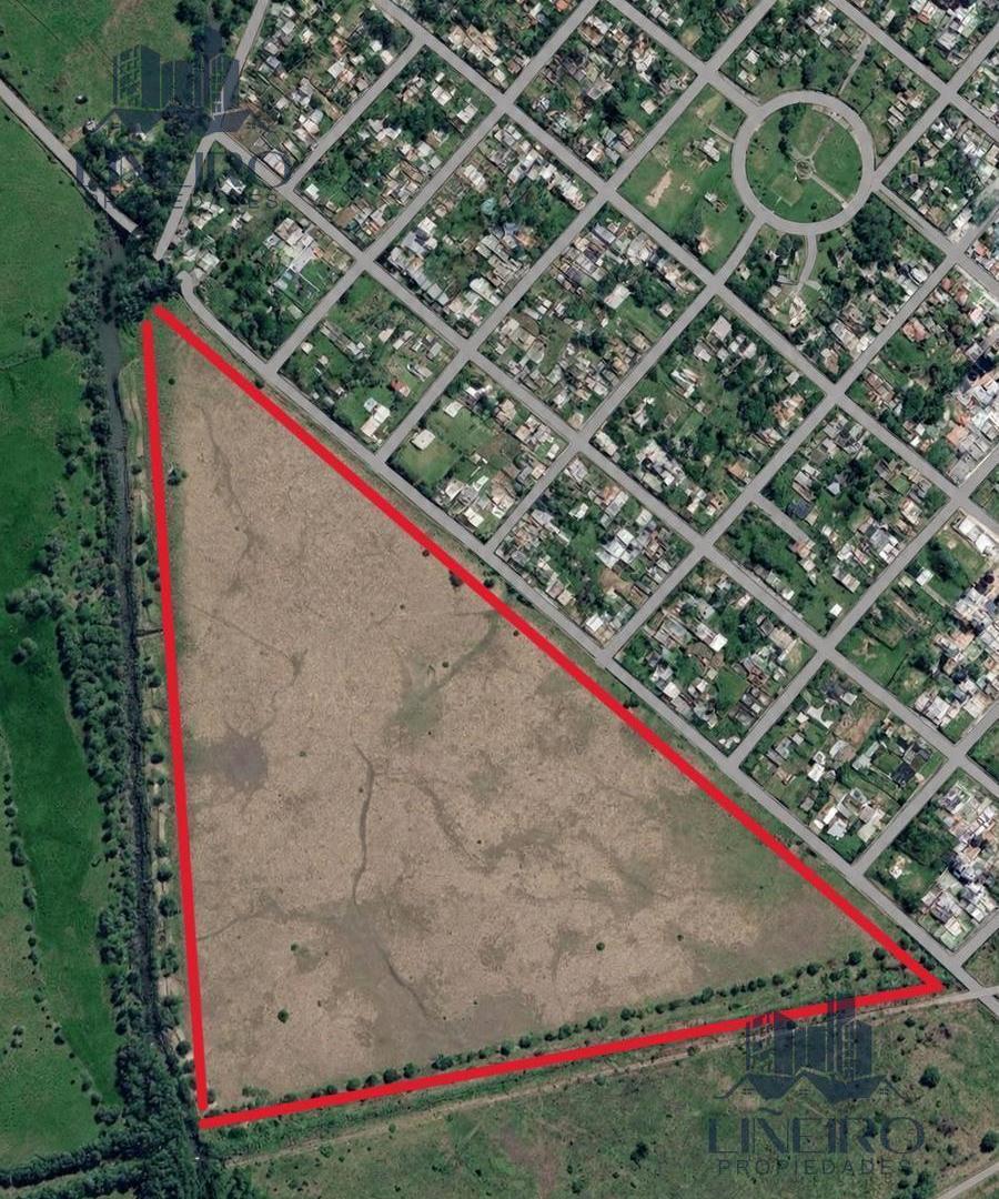 Foto de Terreno / Lote de 19 hectareas en Punta Lara, Ensenada en VENTA, imagen 2