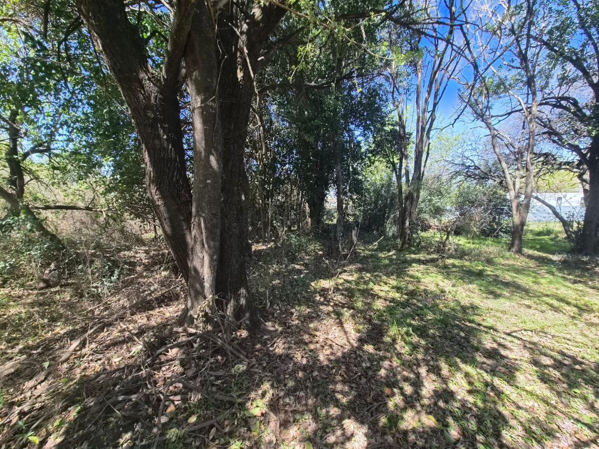 Foto de U$S 18.000. VENDO TERRENO 375 M2. VILLA CATALINA - ECO DE CATALINA. RIO, imagen 5