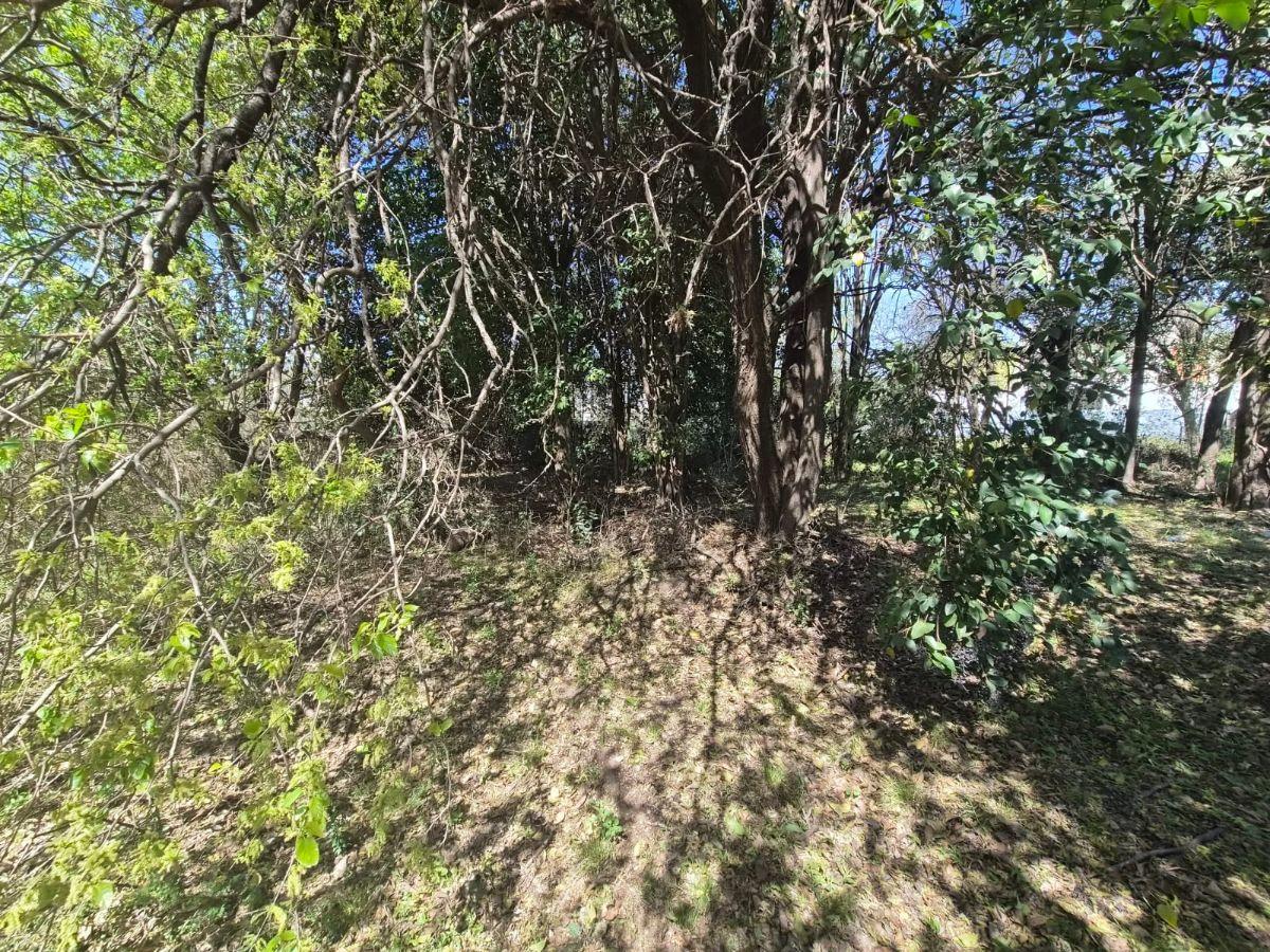 Foto de U$S 18.000. VENDO TERRENO 375 M2. VILLA CATALINA - ECO DE CATALINA. RIO, imagen 2
