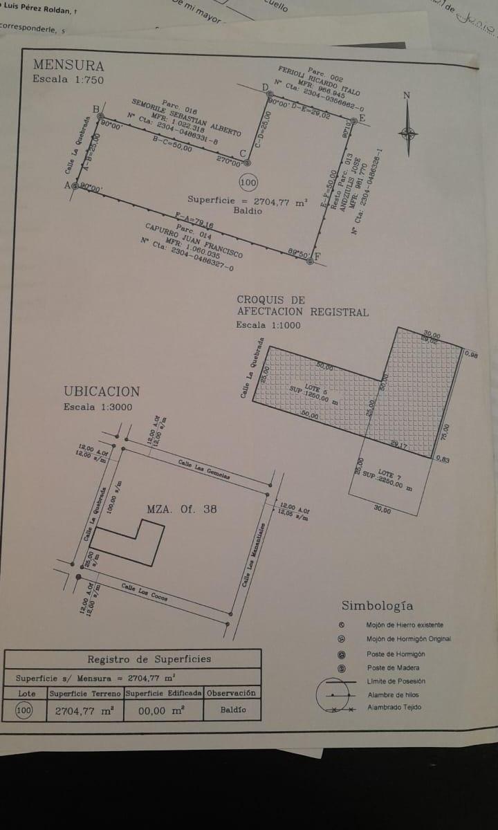Plano 1