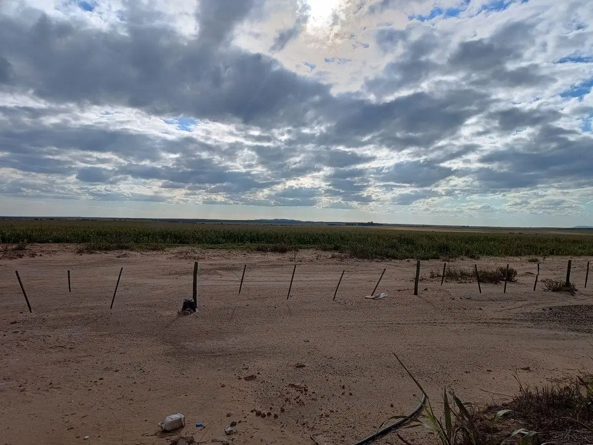 Campo Agrícola en Venta 905has - San Luis 4