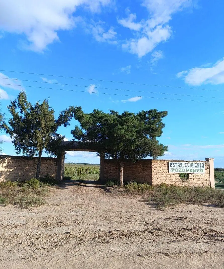 Campo Agrícola en Venta 905has - San Luis 3