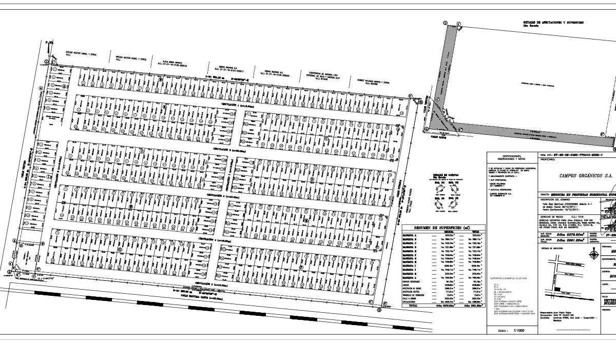 Plano 1