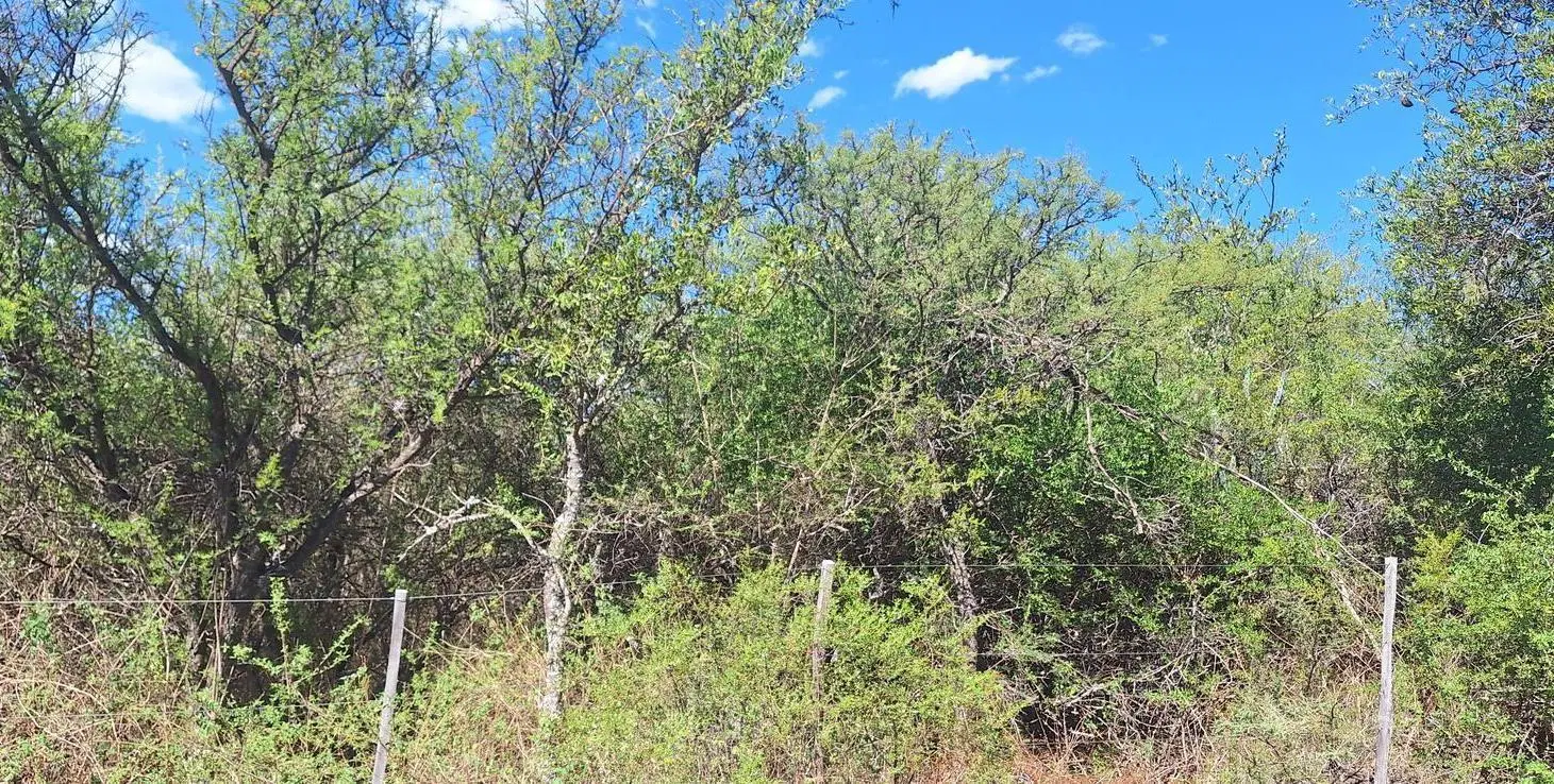 OPORTUNIDAD VENTA TERRENO 1/4 h SANTA ISABEL CHARBONIER PUNILLA 4