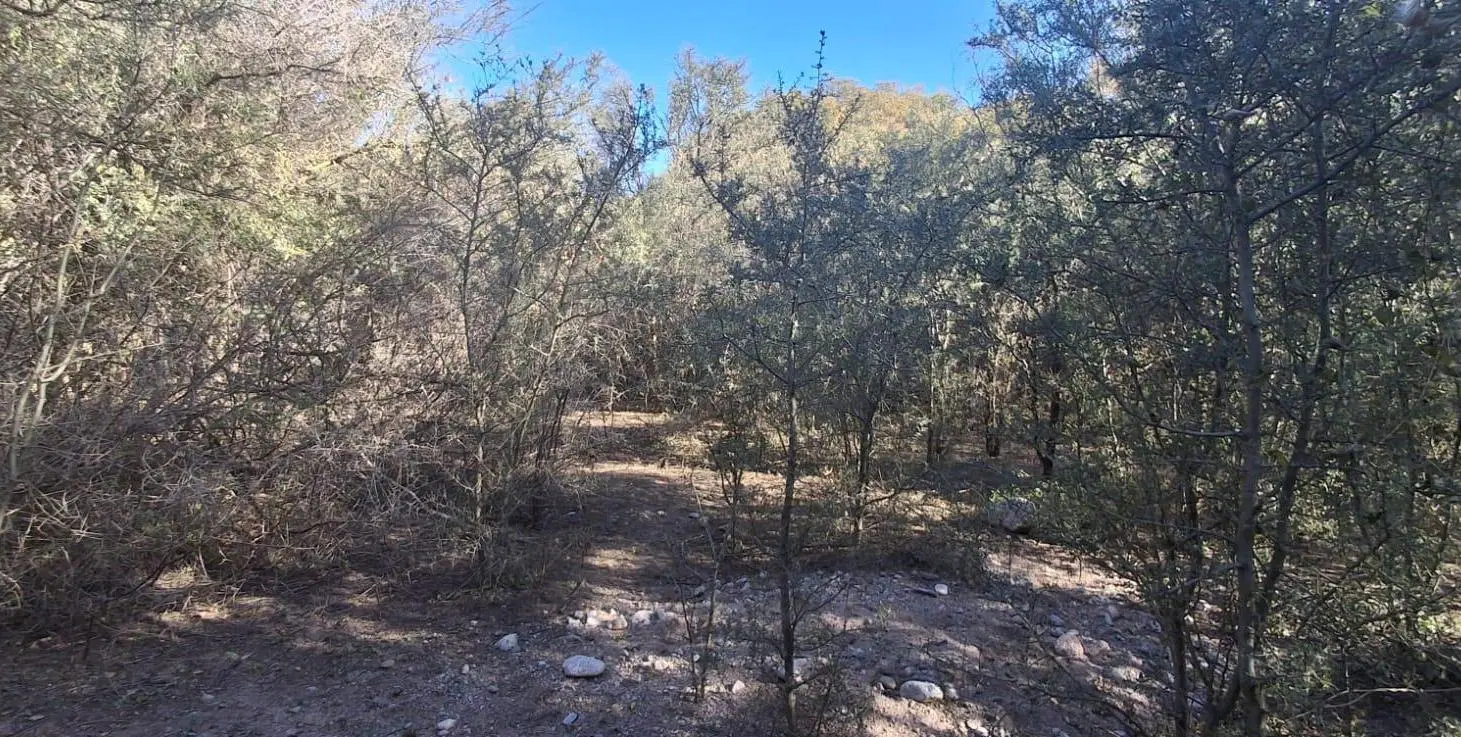 VENTA Terreno de 4000 m2 en San Marcos Sierras 4