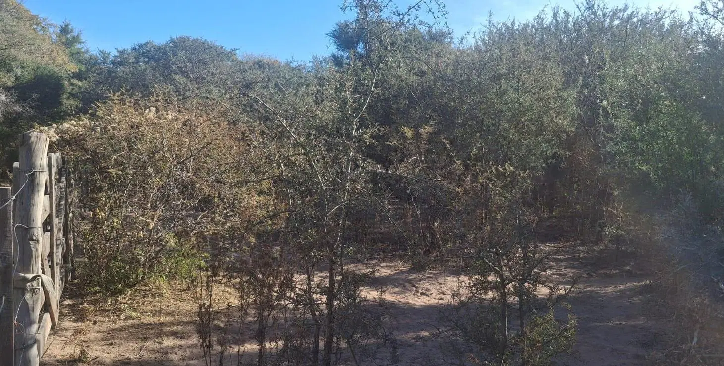 VENTA Terreno de 4000 m2 en San Marcos Sierras 8