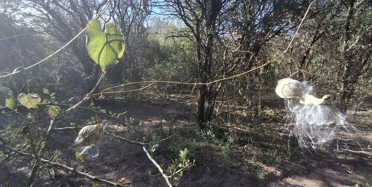 VENTA Terreno de 4000 m2 en San Marcos Sierras 5