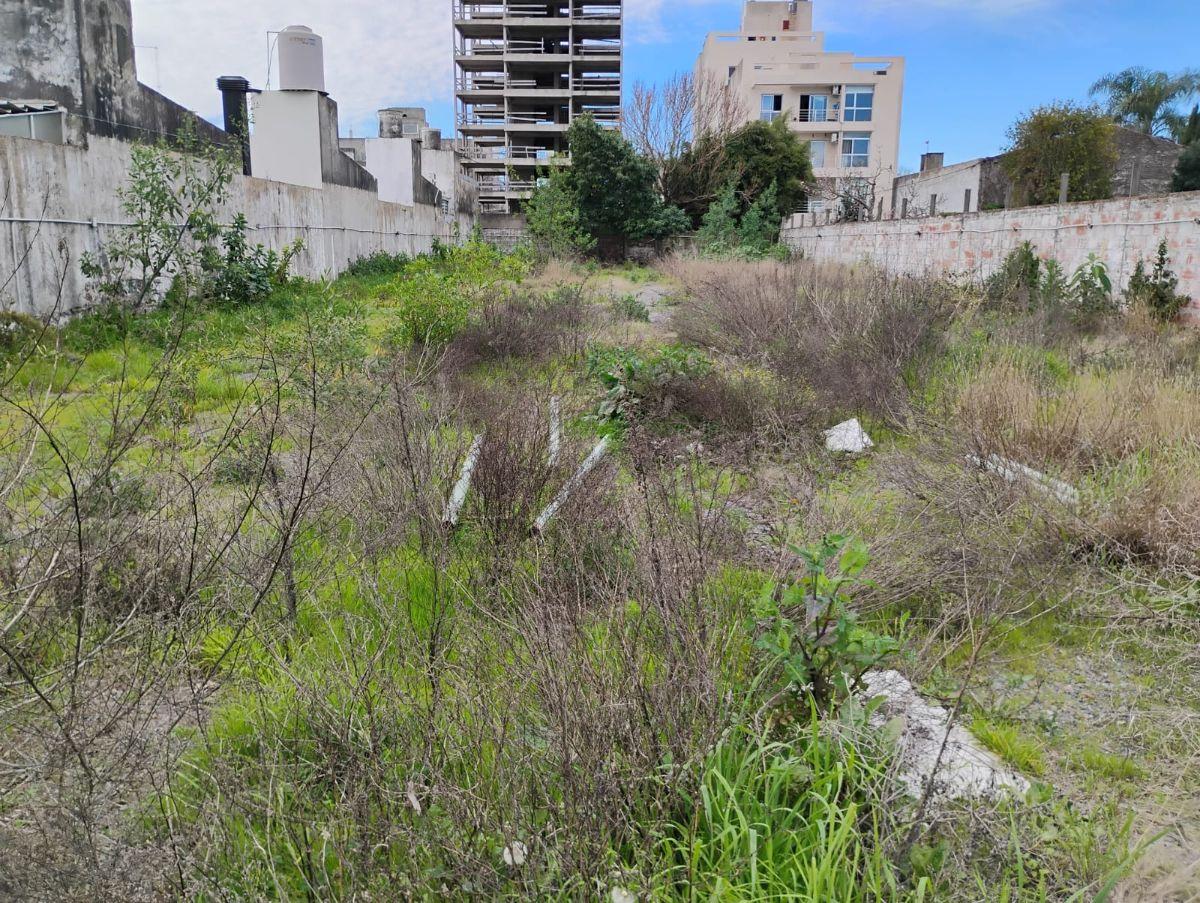 Foto de Terreno en Venta 8 N°1876 e/ 70 y 71 La Plata, imagen 3