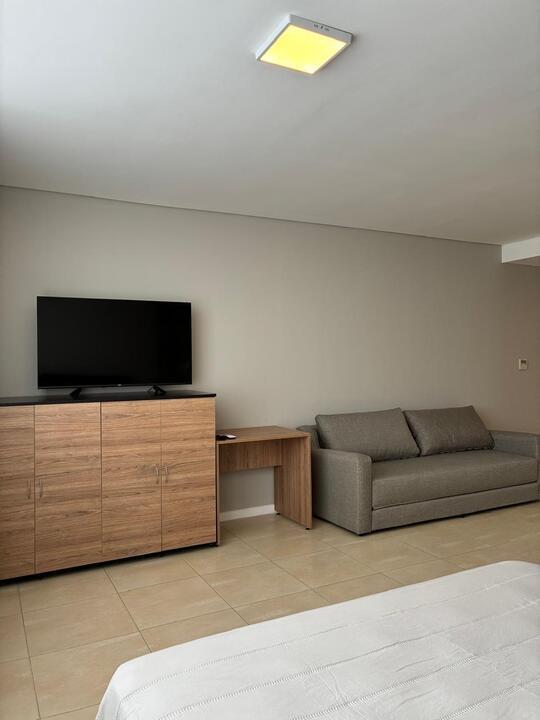 Foto de Departamento en Loft de la Bahia Amoblado, imagen 3