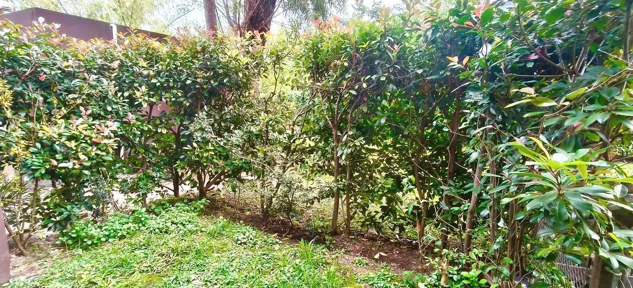 Venta Departamento PB c/jardin y Cochera 5