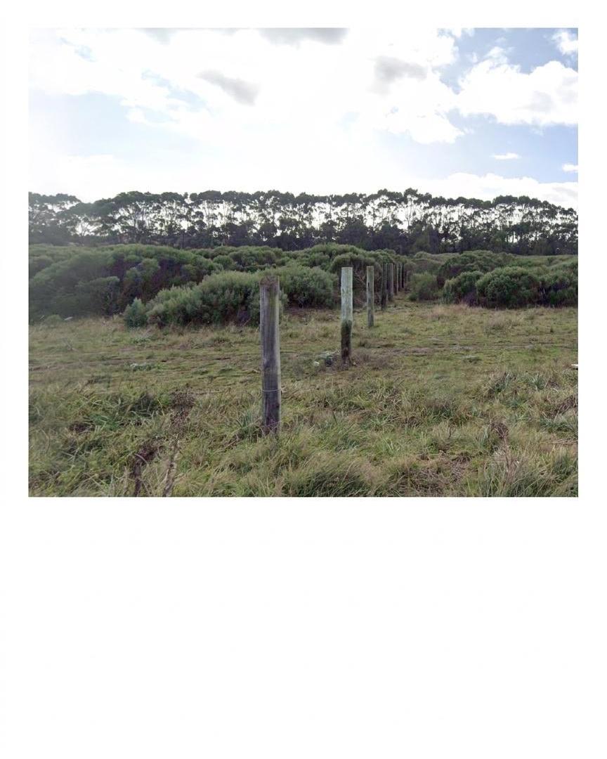 Foto de Terreno en Venta en Santa Rosa del Mar, MDP, imagen 3