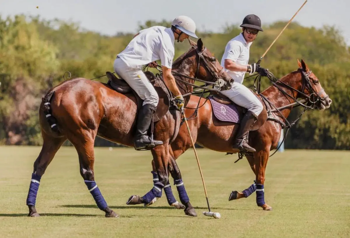 Caballeriza en alquiler por temporada de polo 12 boxes Pilara Pilar 2