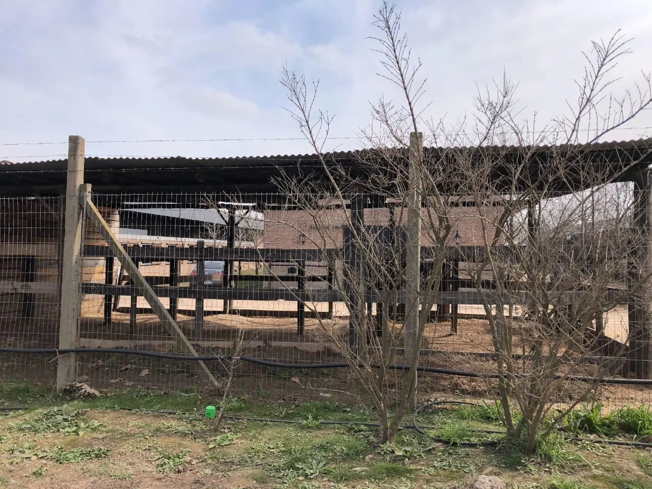 Caballeriza en alquiler por temporada de polo 12 boxes Pilara Pilar 4