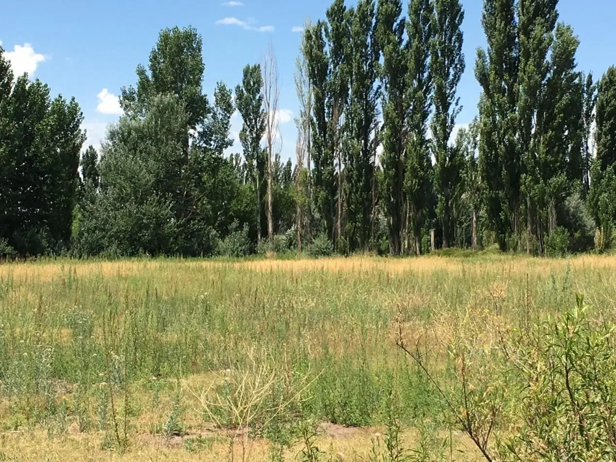 ALQUILER | LOTE EN AÑELO EXCELENTE UBICACION 3